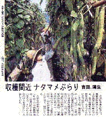 南日本新聞掲載