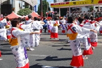 第59回 おはら祭り